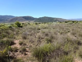 Finca rústica en Paterna del Río. Terreno en venta