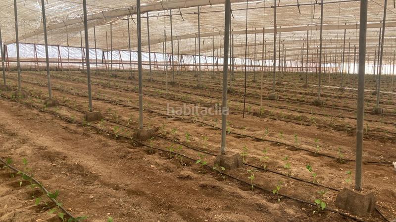 Foto a6ff1ad9-b6b2-4695-966d-999d297e5453. Terreny residencial a Pozo de los Frailes-Presillas-Albaricoques Níjar