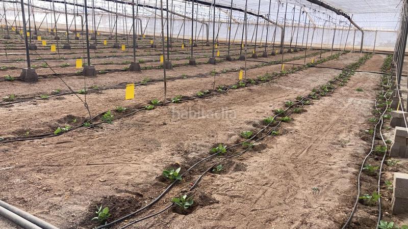 Foto e928de6c-e9f2-473d-8d4b-6063d5d2587c. Terreny residencial a Pozo de los Frailes-Presillas-Albaricoques Níjar