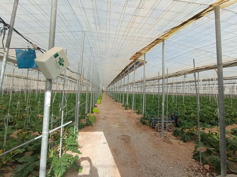 Foto 0657a3cf-f19a-4a15-a046-07ab93e1f3c5. Haus in Berja