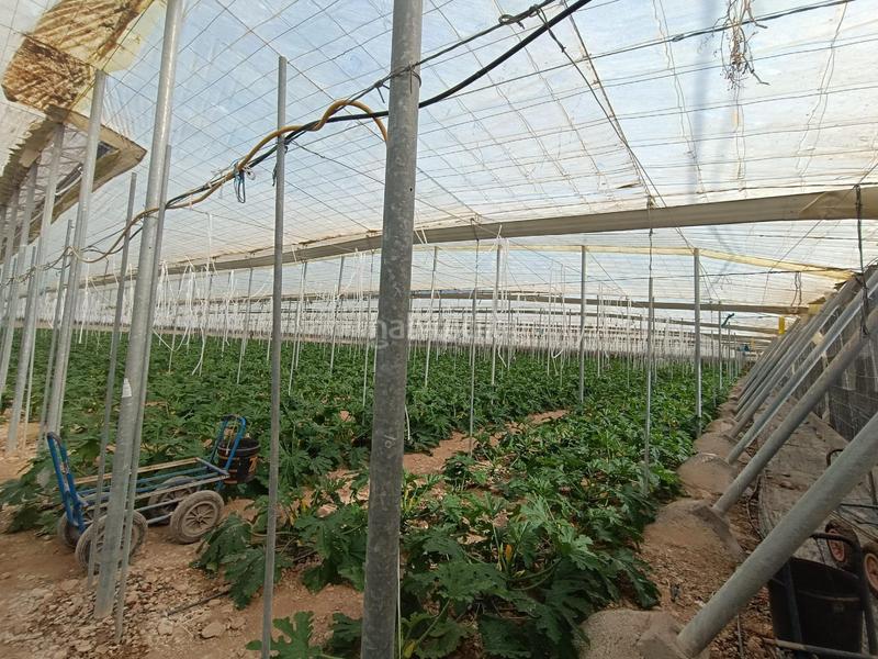 Foto ea29fe63-e82d-489f-84c9-6810577cd66e. Haus in Berja