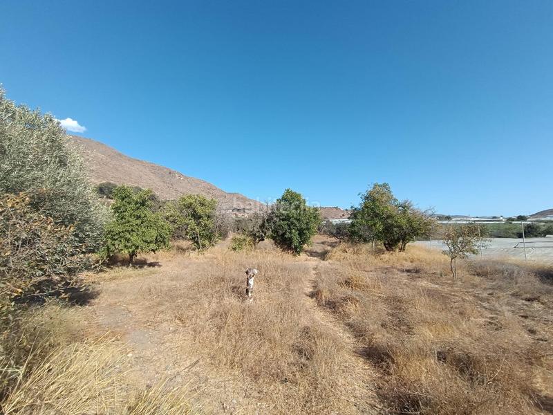 Foto fefe44da-5023-44bf-b753-03c35bf223c5. Haus in Berja