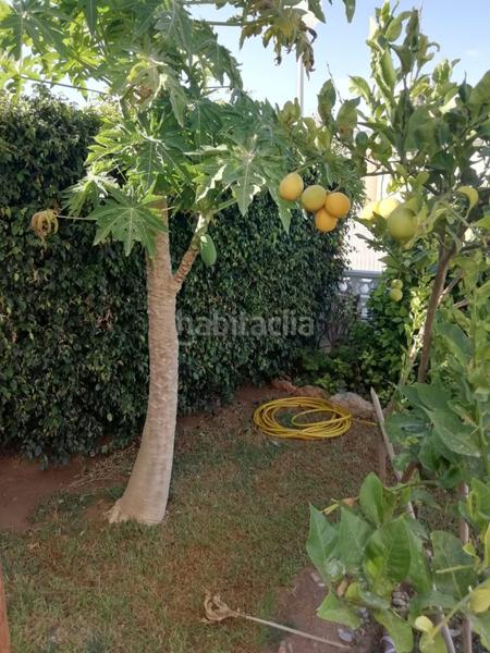 Foto d749d9e6-9bee-4ceb-b4d0-599952330451. Chalet magnifico chalet en zona de almerigolf en Almerimar Ejido (El)