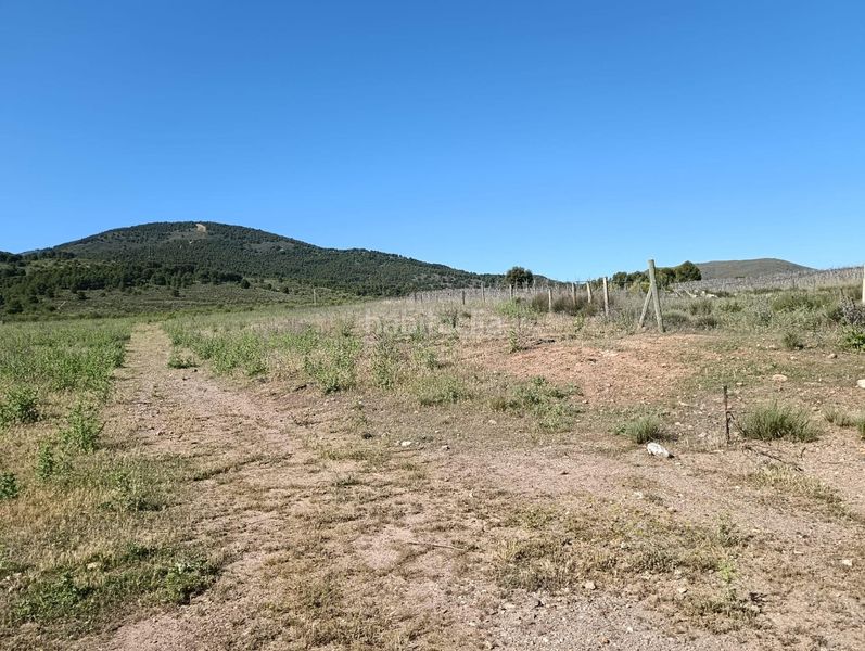 Foto 1da06e80-b78e-4fcb-8452-d973bf9845e3. Finca rústica a Láujar de Andarax
