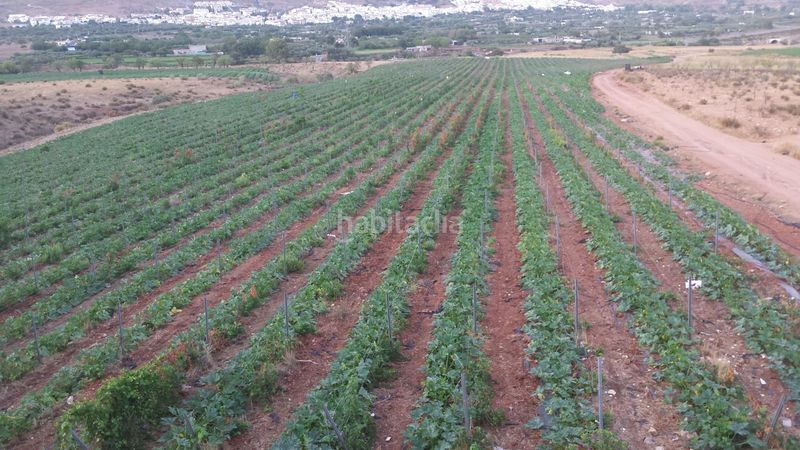 Foto 1e4a5515-a996-4258-837e-c9179597361e. Finca rústica a Láujar de Andarax