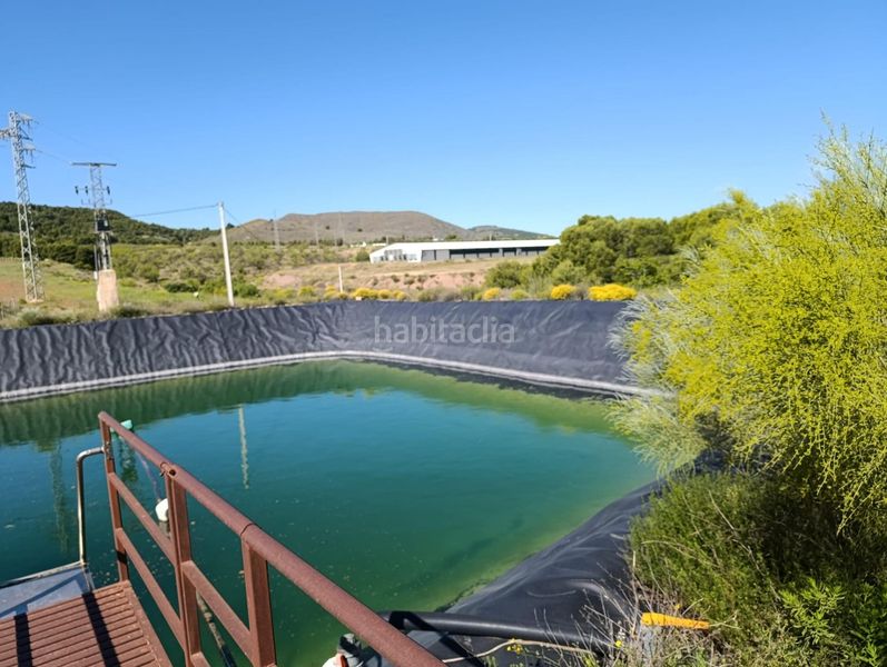 Foto 4a09da20-9be5-43e7-80c6-c9eb82445015. Finca rústica a Láujar de Andarax