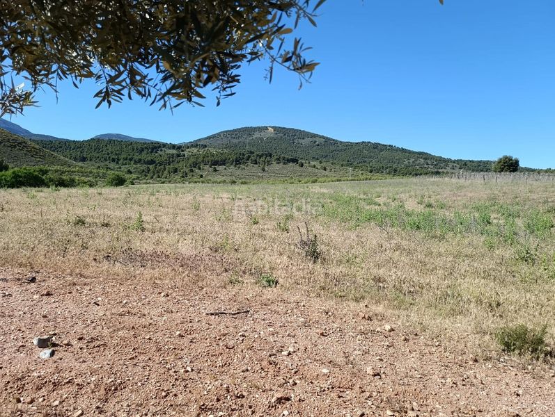 Foto 4c02b01b-3ac7-49ba-b82c-aaeb22545338. Finca rústica a Láujar de Andarax