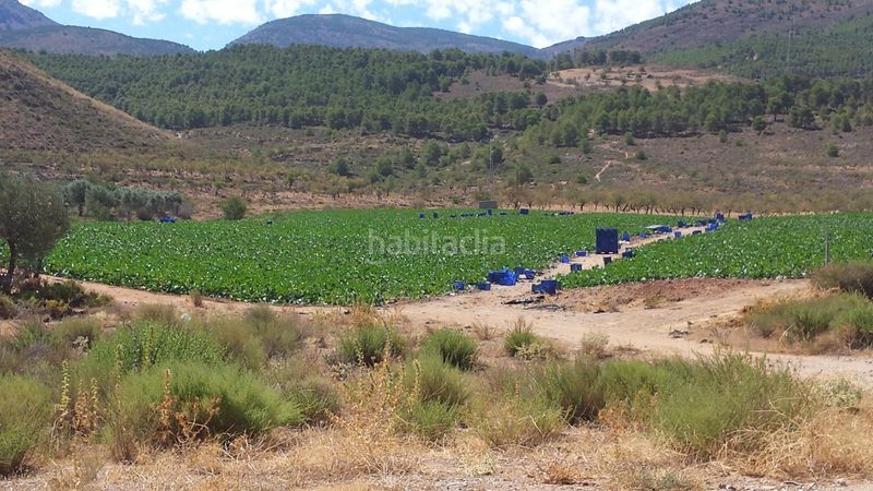 Foto 672ae8d9-a1a1-414c-8328-50effd442a14. Finca rústica a Láujar de Andarax