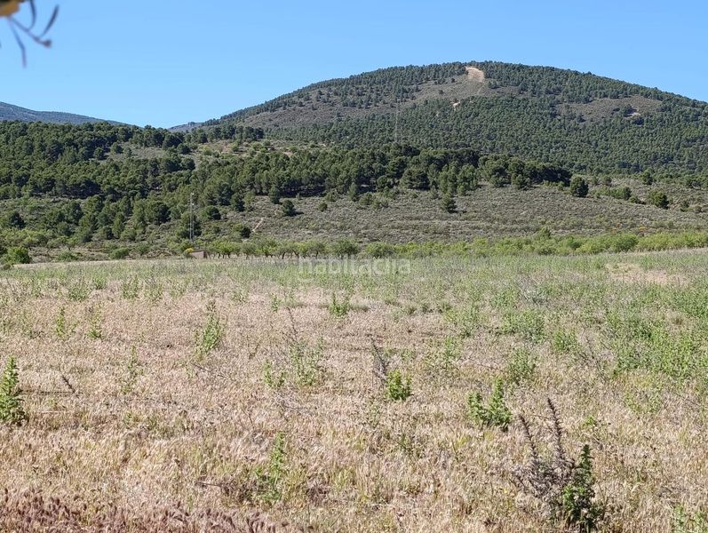Foto 7865176e-ca1a-4403-99e1-b99b1b3a17fb. Finca rústica a Láujar de Andarax