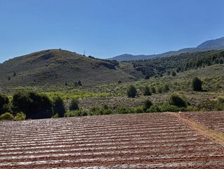 Finca rústica en Láujar de Andarax. Terreno en venta