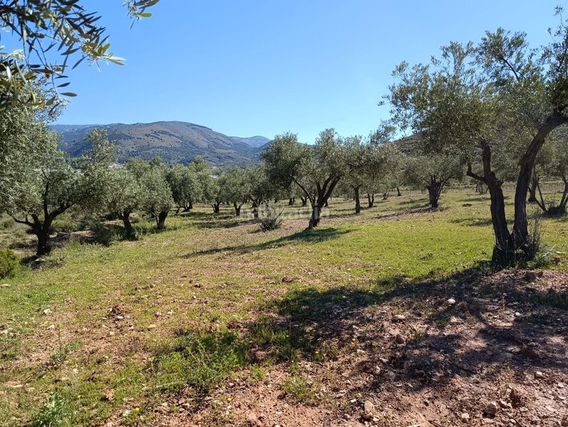 Foto b57a2f01-6fd3-460f-84f2-9f501d4a1919. Finca rústica a Láujar de Andarax