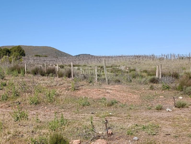 Foto c2aff0cb-853c-4123-abea-a0f48cc0c889. Finca rústica a Láujar de Andarax
