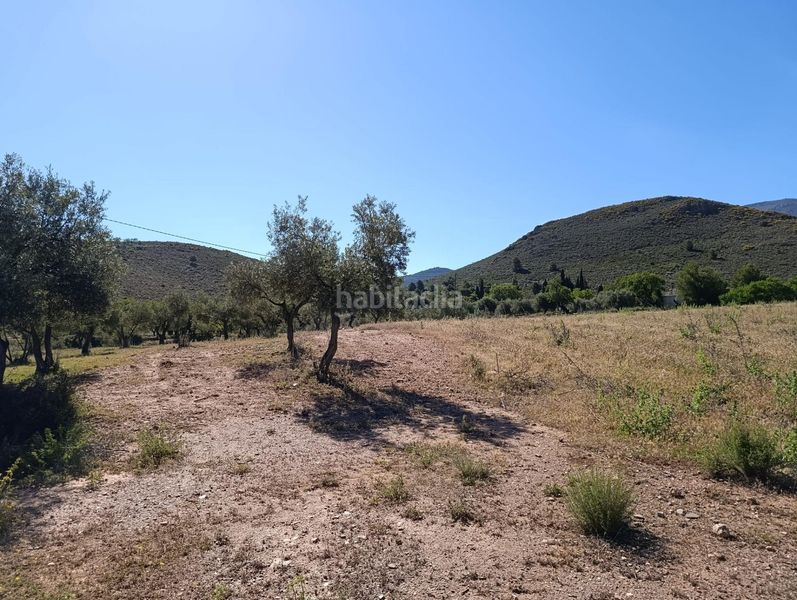 Foto de33ac48-55c8-49cd-836e-42c3a87ce4dc. Finca rústica a Láujar de Andarax