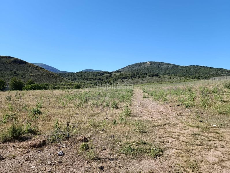Foto df822057-1b37-4bc3-927a-5e14e0232aaa. Finca rústica a Láujar de Andarax