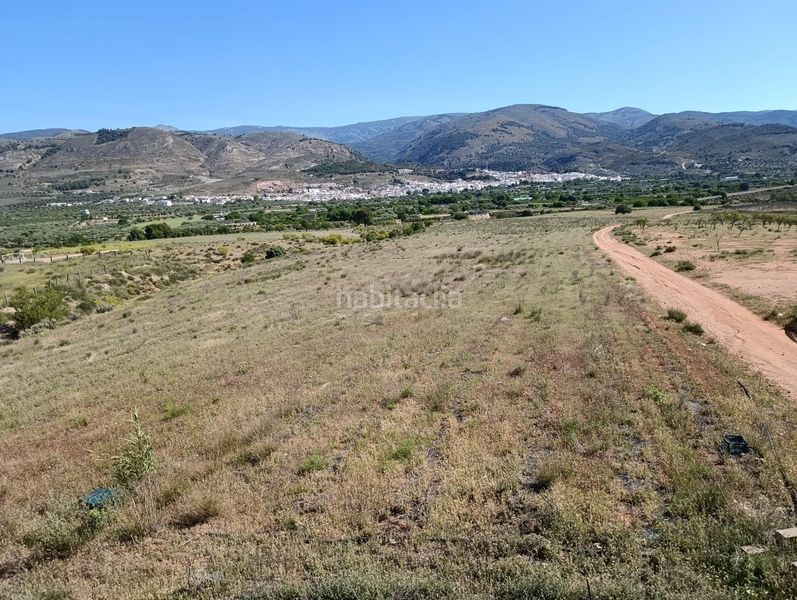 Foto f6169b48-6609-4c11-b1d9-d2614679136e. Finca rústica a Láujar de Andarax