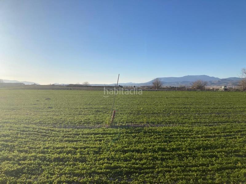 Foto 4575fc54-6a76-44d4-844a-521b6b85816a. Masía finca de regadio en Pinos Puente