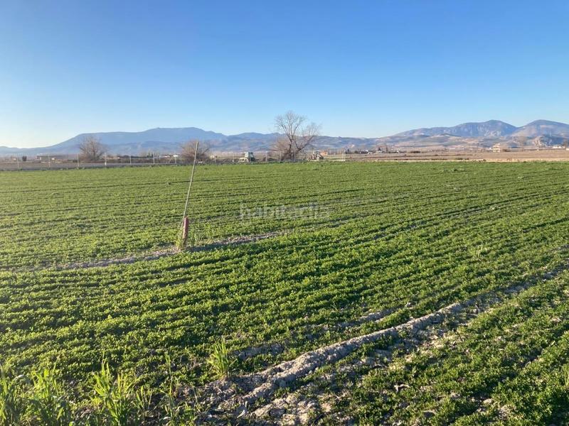 Foto 6c532534-a173-4a4e-b693-0976dd7ebe1a. Masía finca de regadio en Pinos Puente