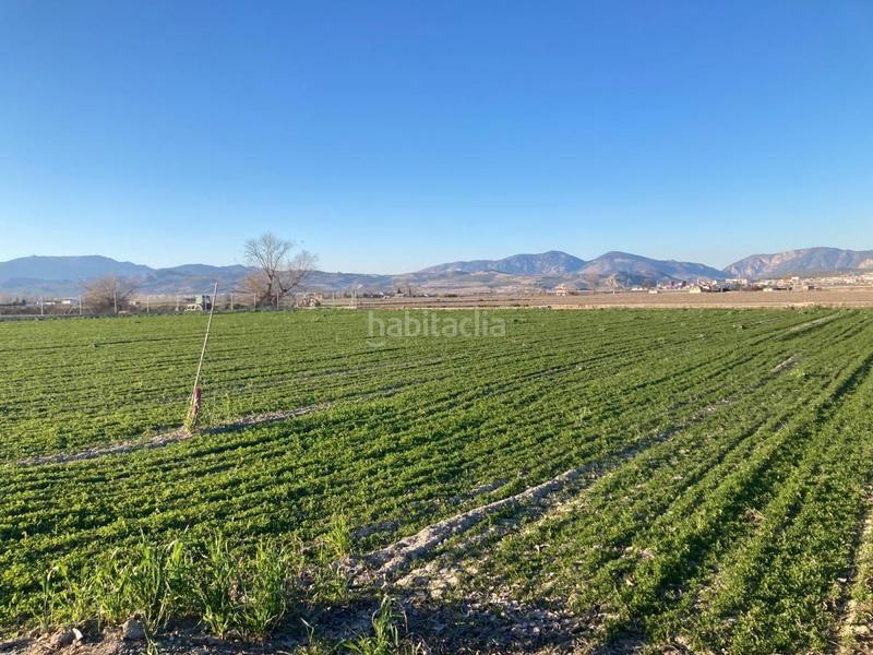 Foto 95ed827d-7a6a-46ca-9923-4ac635dc7508. Masía finca de regadio en Pinos Puente