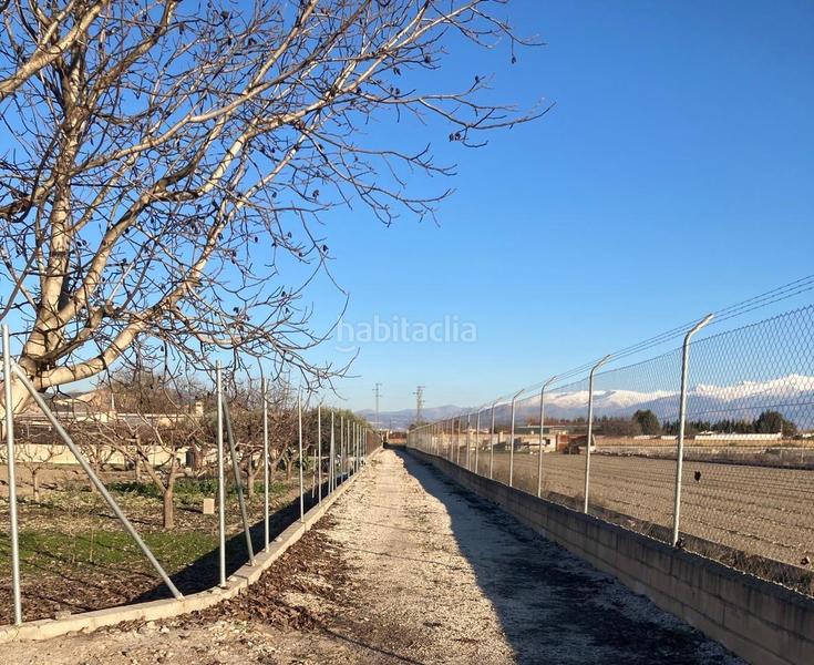 Foto a542e0c6-f381-4e74-843b-c3400d180e6b. Masía finca de regadio en Pinos Puente
