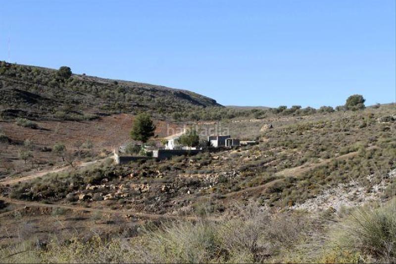 Foto 455e5ead-31fd-418e-9d99-394d1d09f7b9. Finca rústica finca de secano en desnivel, parte de la finca pertenece a un barranco, sembrado de almendros en Padul