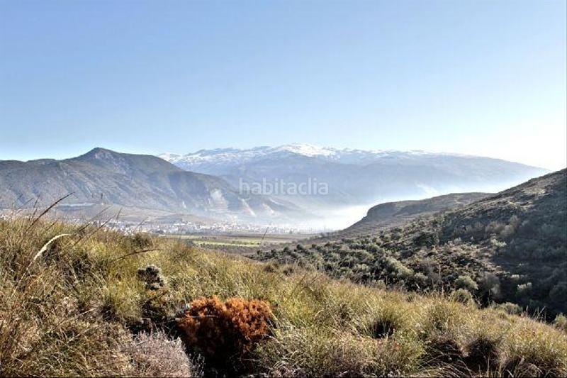 Foto 5809eb10-8d20-4bbb-b4d3-72484f06e8b0. Finca rústica finca de secano en desnivel, parte de la finca pertenece a un barranco, sembrado de almendros en Padul