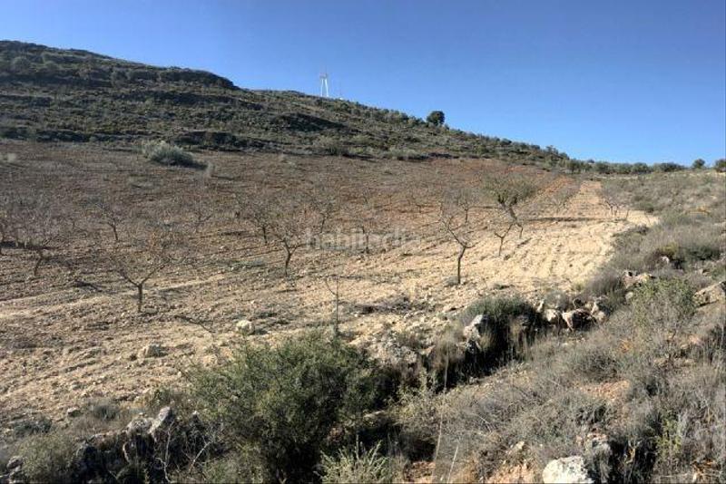 Foto 5c165d28-7551-444b-b07e-1247087dbe79. Finca rústica finca de secano en desnivel, parte de la finca pertenece a un barranco, sembrado de almendros en Padul