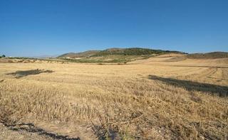 Mas  Puntal del padul. Mágnifica finca rústica