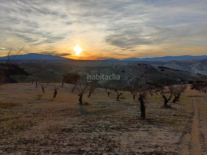 Foto efd3ad53-0f2b-4910-b37c-0b3a8ae4d541. Finca rústica a Alhama de Granada