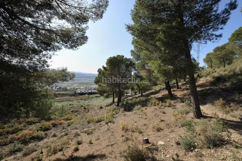 Foto 59678c1d-363b-4325-af36-9ac2360857e0. Terreny residencial a Padul