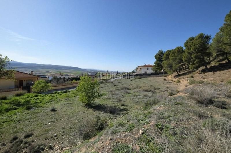 Foto 7bdbf283-d3b4-4a9b-9599-70d39f4d8636. Terreny residencial a Padul