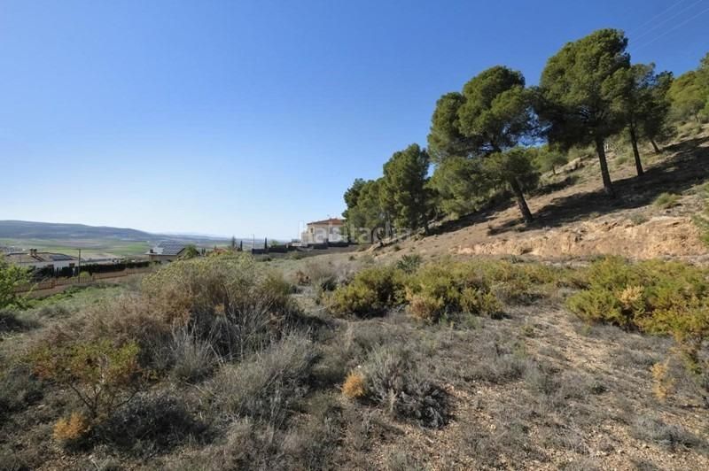 Foto a3695476-2c7b-4fd1-b2bb-259a16c125e8. Terreny residencial a Padul