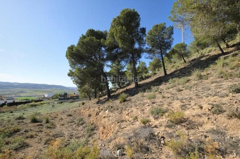 Foto afd43279-1e7c-4c1e-a5ed-0ecc41450776. Terreny residencial a Padul