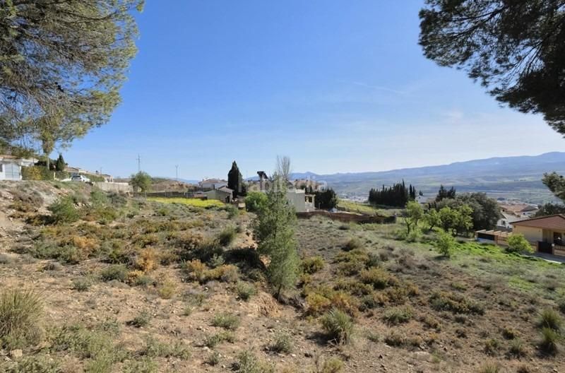 Foto c50770ae-1494-40d6-af08-3bf28befdb8d. Terreny residencial a Padul