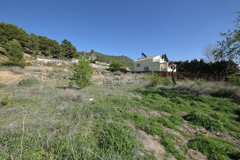 Foto c9debd39-0e97-4995-8d24-8d4b308df1a2. Terreny residencial a Padul