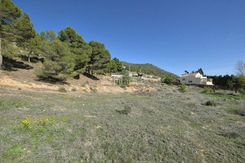 Foto cb61f26e-9fec-48b1-8c66-b3f2951ac2c9. Terreny residencial a Padul