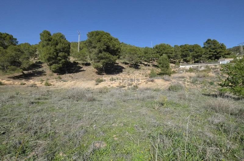 Foto f1372659-06f7-4699-953d-567de8ebbff3. Terreny residencial a Padul