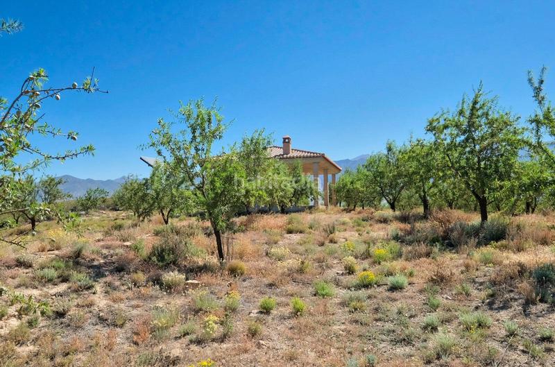 Foto 01f7482d-23fc-4a53-9ef9-7c5fb4980987. Masía finca rústica en venta en Villamena