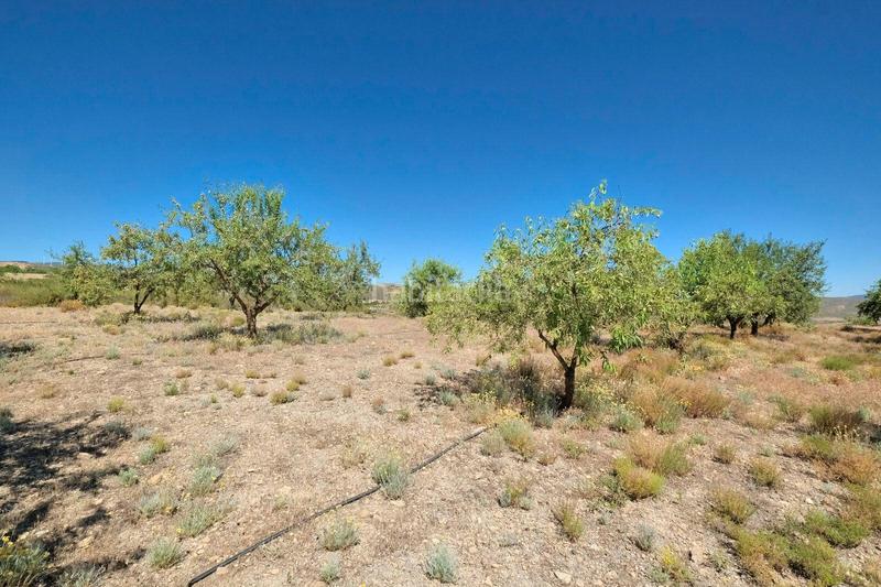 Foto 07bb36b1-49b6-414f-adc9-473c44a91d4a. Masía finca rústica en venta en Villamena