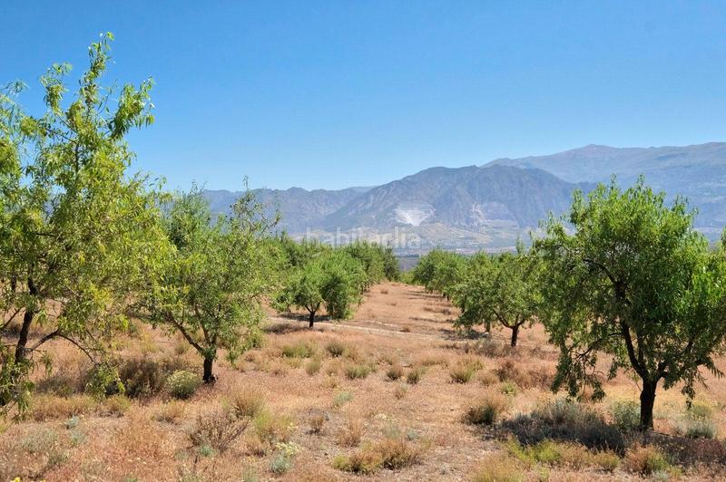 Foto 353b0c9f-f050-4e19-8d69-06b388aac824. Masía finca rústica en venta en Villamena