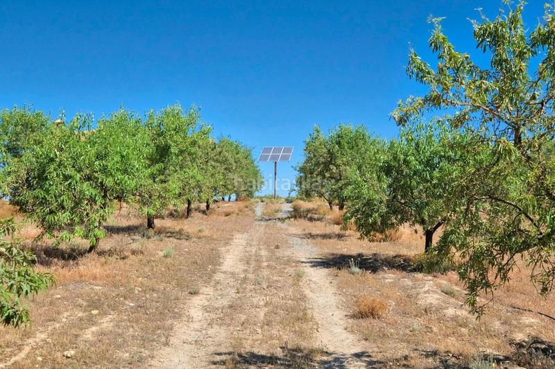 Foto 3e86ba53-26e2-4b59-ad69-7ecfcf0b5732. Masía finca rústica en venta en Villamena