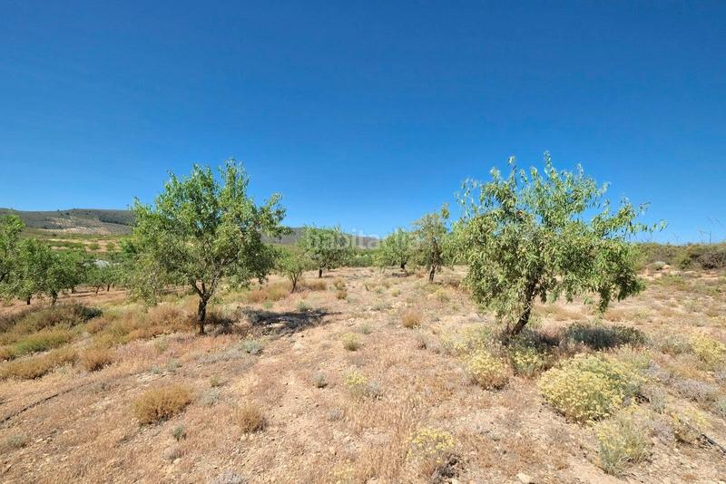 Foto 60f85c84-4162-4f15-b7fc-2dfd32e87f34. Masía finca rústica en venta en Villamena