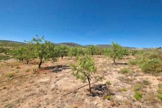 Mas  Gr-3208. Finca rústica en venta