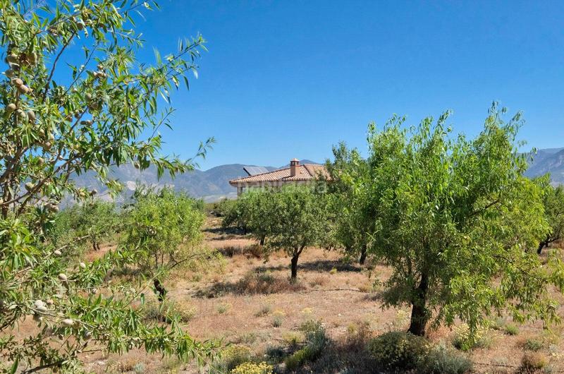 Foto ac5e6051-ca7e-47e6-a2cf-2af2954a1424. Masía finca rústica en venta en Villamena