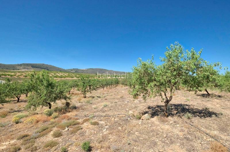 Foto ad8cc966-1e12-4523-822e-339001a574bd. Masía finca rústica en venta en Villamena