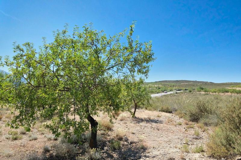 Foto afbceb69-36c7-4c87-8409-9663fc993fff. Masía finca rústica en venta en Villamena