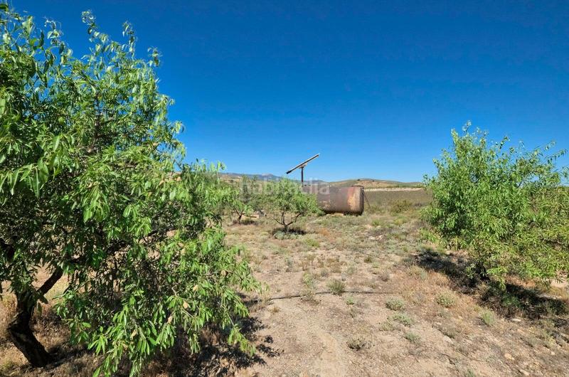 Foto fad6d50d-80b6-47c8-a015-203c0fe1558f. Masía finca rústica en venta en Villamena