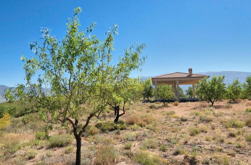 Foto fd6175ef-cd80-4cb0-bff1-f5f91a9d1354. Masía finca rústica en venta en Villamena