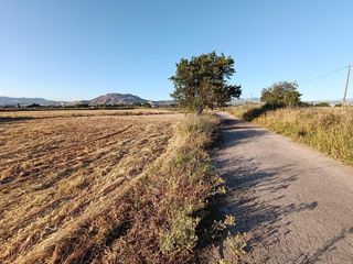 Rural plot  Diseminados. Magnifica parcela de 30 marjales