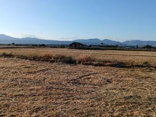 Finca rústica  Diseminados. Magnifica parcela de 30 marjales