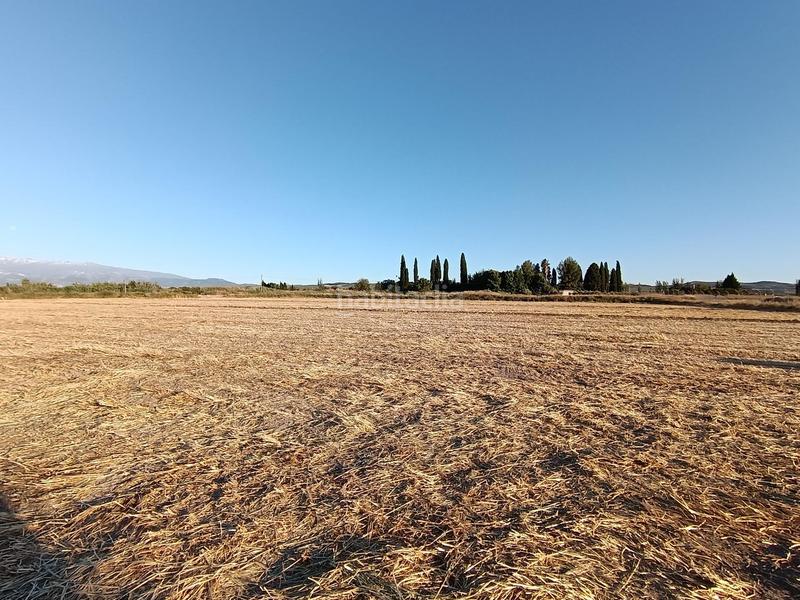 Foto a79975ef-6e09-4039-8c0d-ce93db3a90e5. Finca rústica magnifica parcela de 30 marjales en Santa Fe